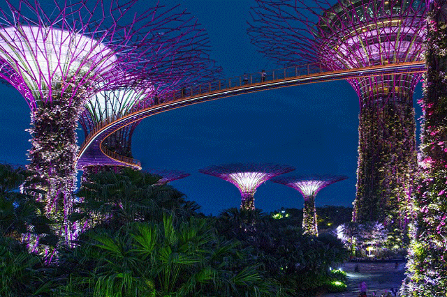 Singapore relaxes entry requirements