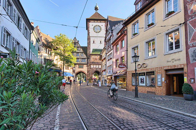 A frolic with Freiburg