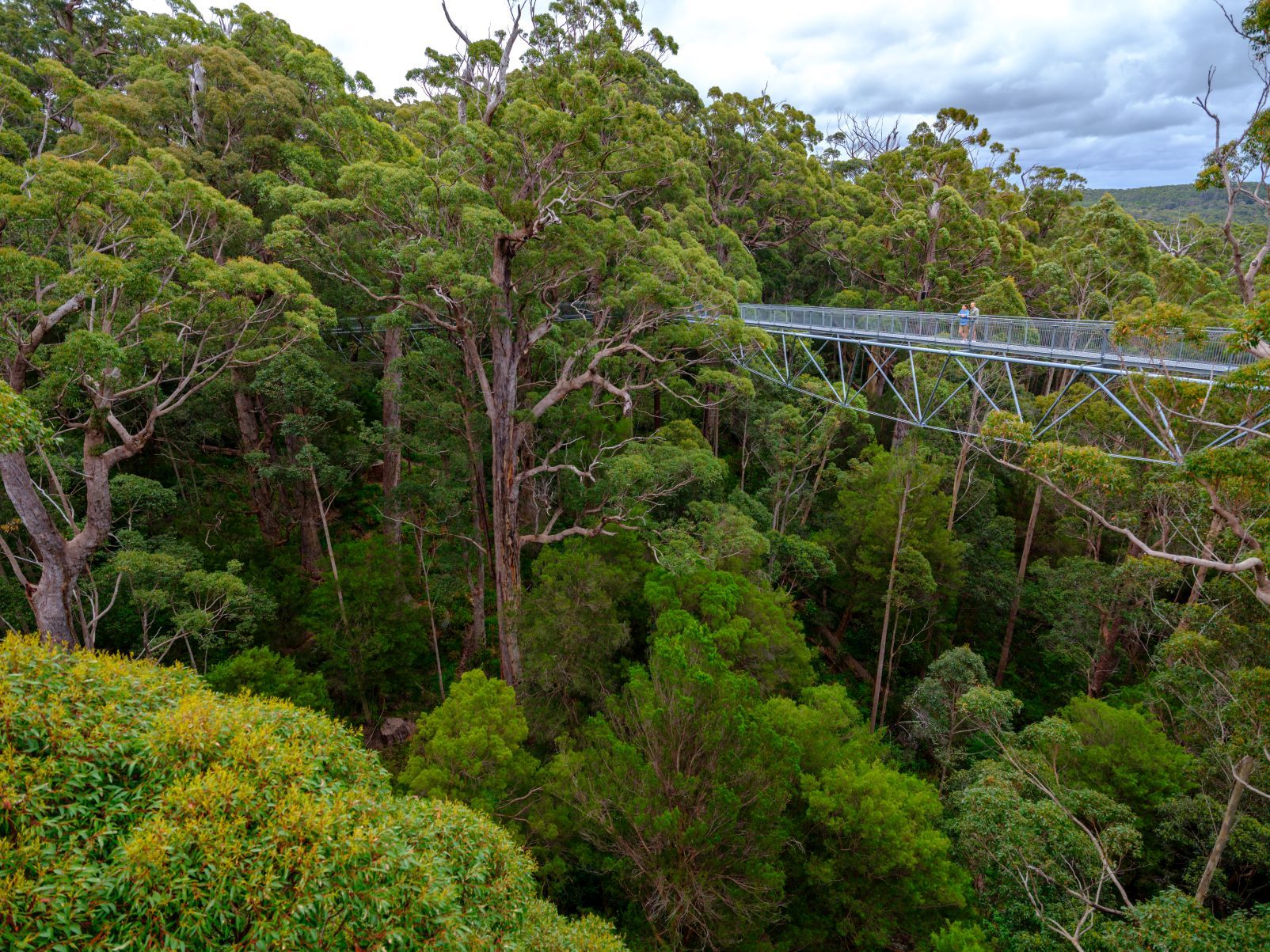 Taste and Savour WA’s Southern Forests