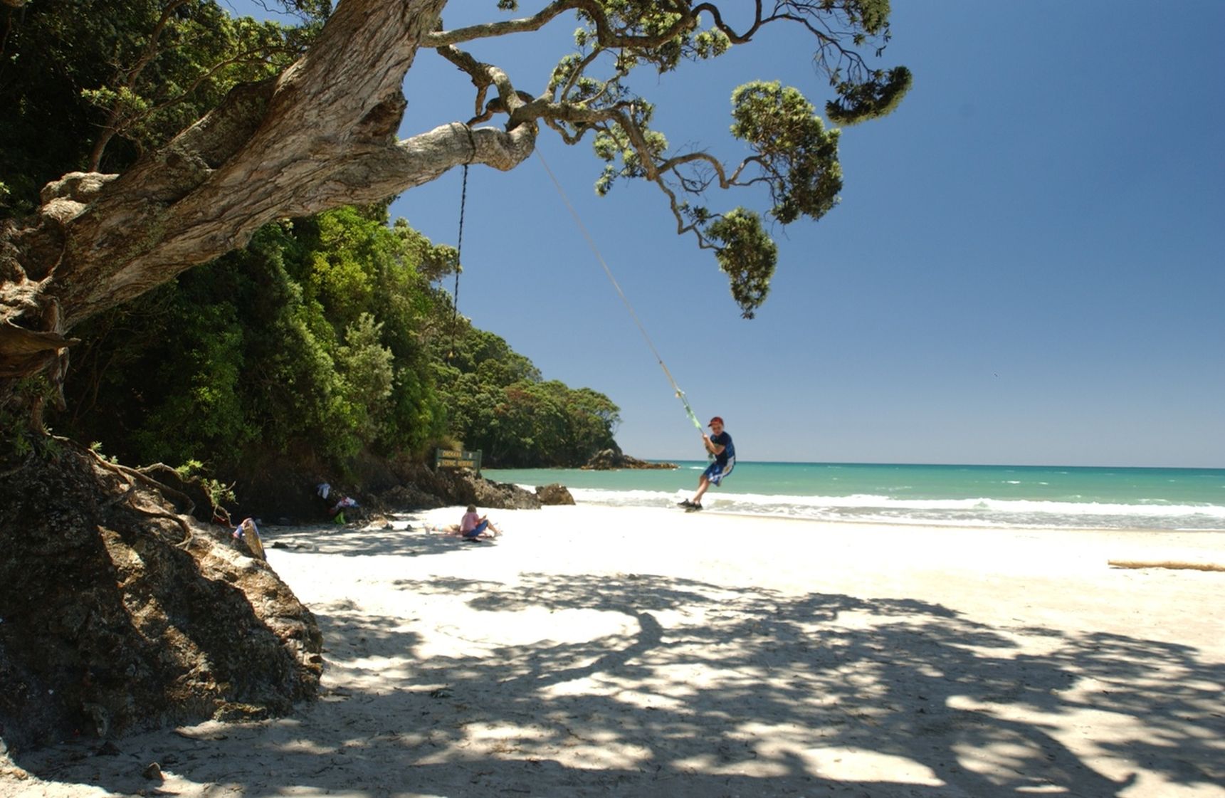 What to see and do at Waihī Beach