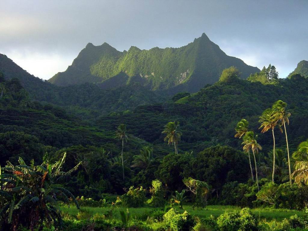 Te Manga peak in the verdant heartland of Rarotonga. Credit Wondermondo