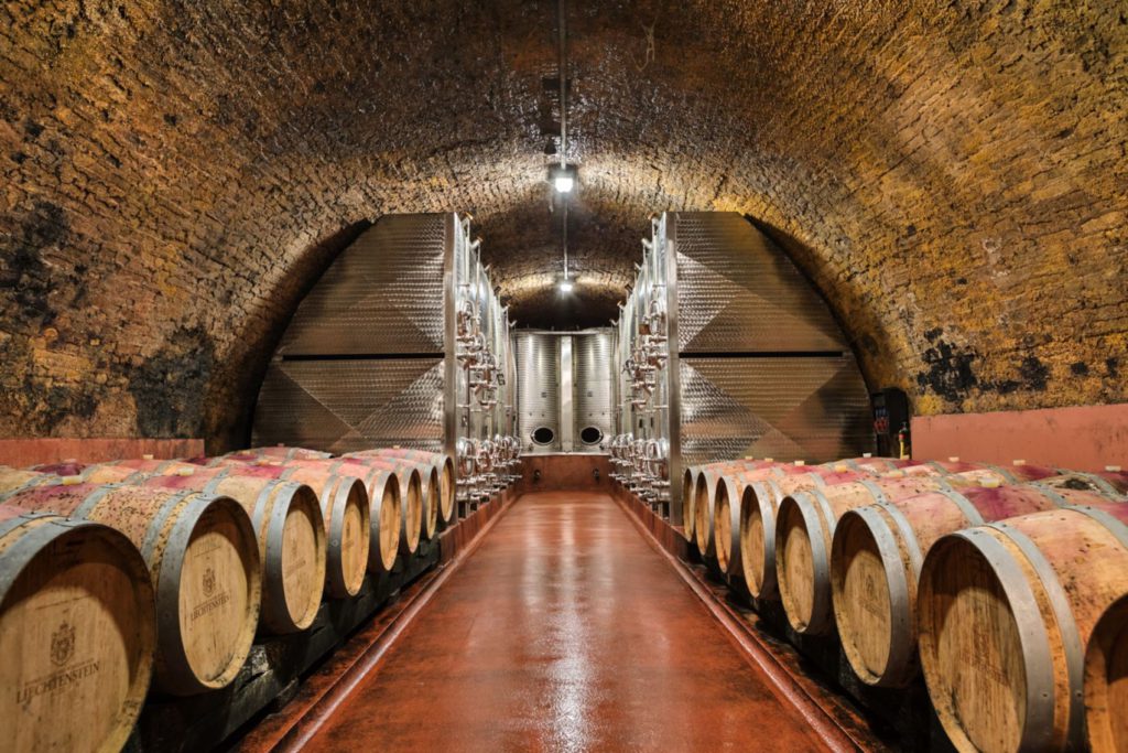 Pricnely Wine Cellars in Vaduz
