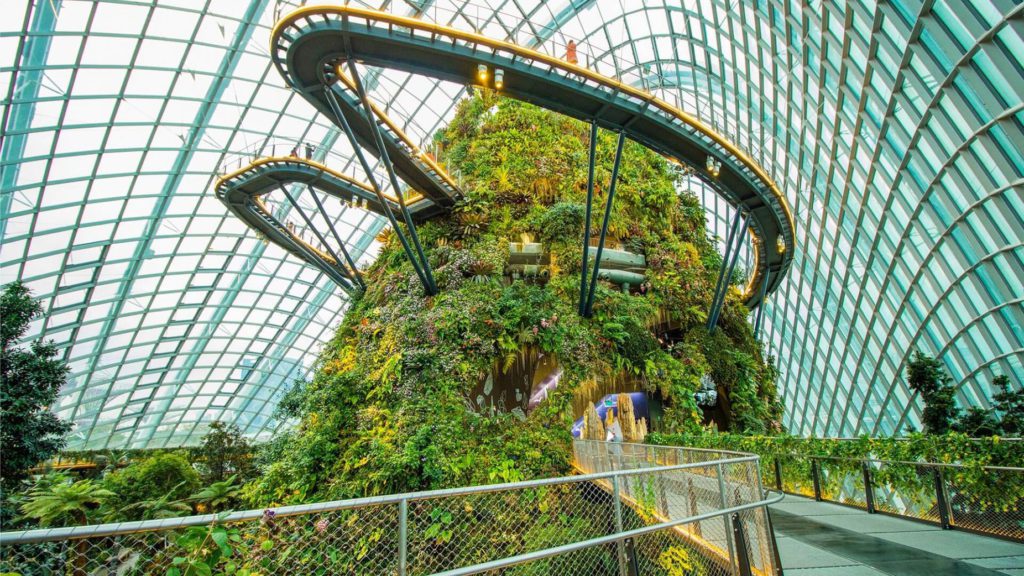 Gardens-by-the-Bay-Cloud-Forest