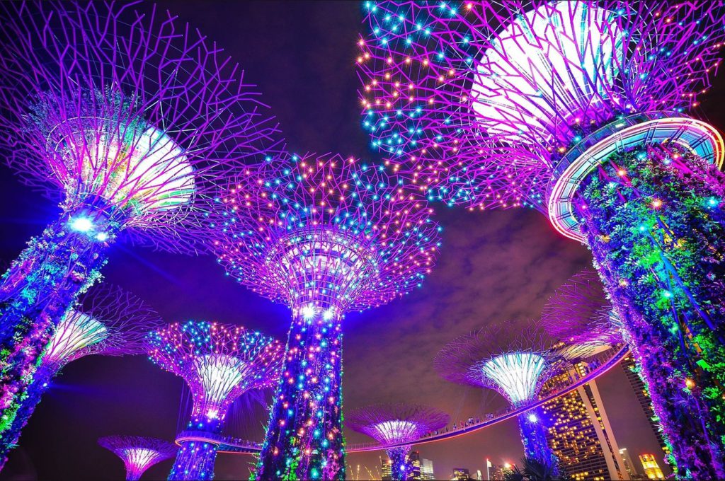 Night-show-at-Gardens-by-the-Bay-of-the-SuperTrees