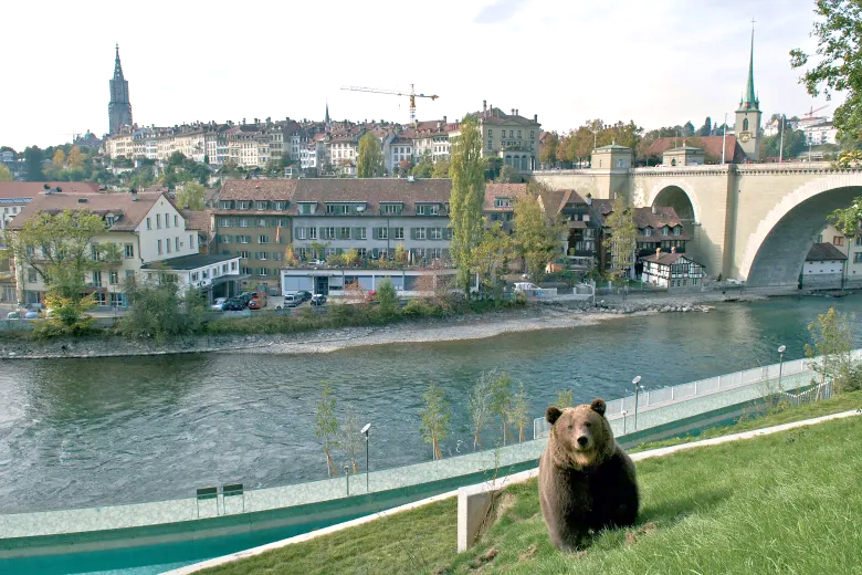 Bern Bear Park, Switzerland