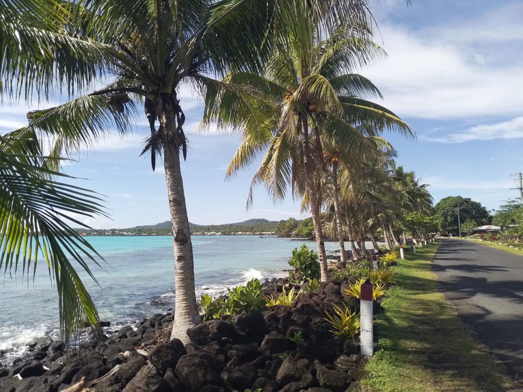 Palm-fringed coastline of Savai'i, Samoa