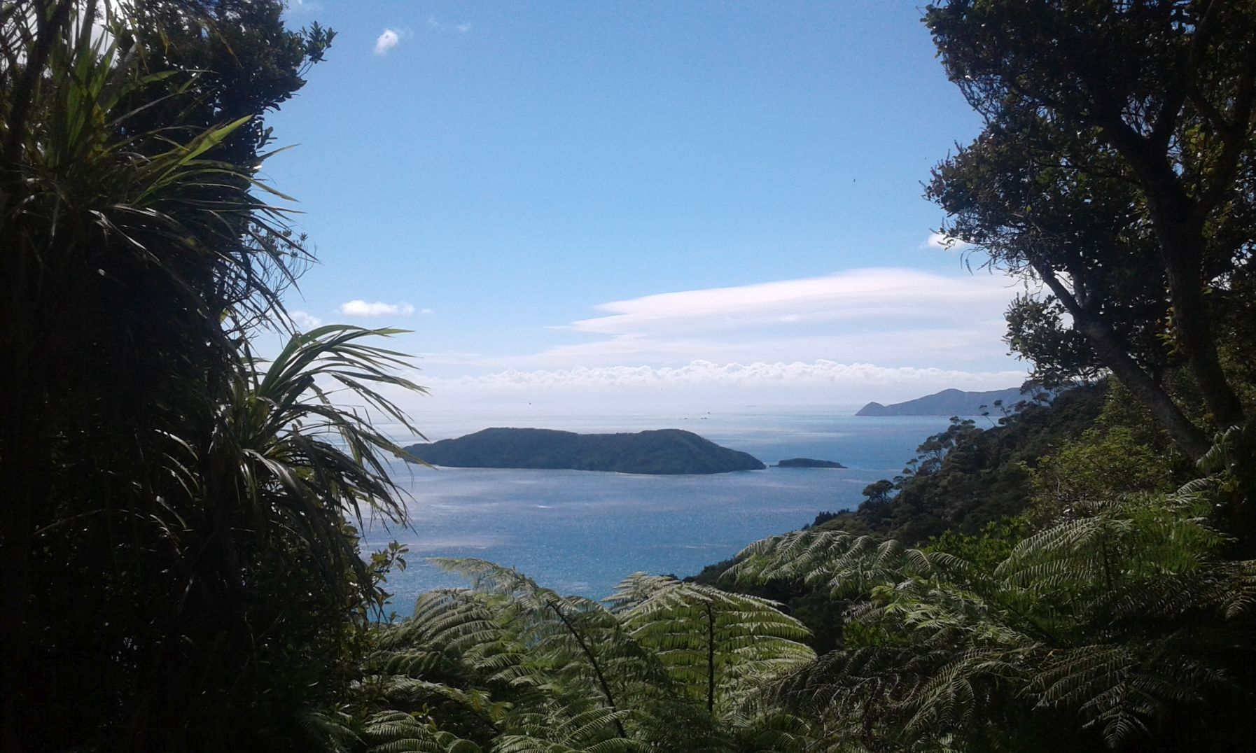 The allure of Picton and Queen Charlotte Sound