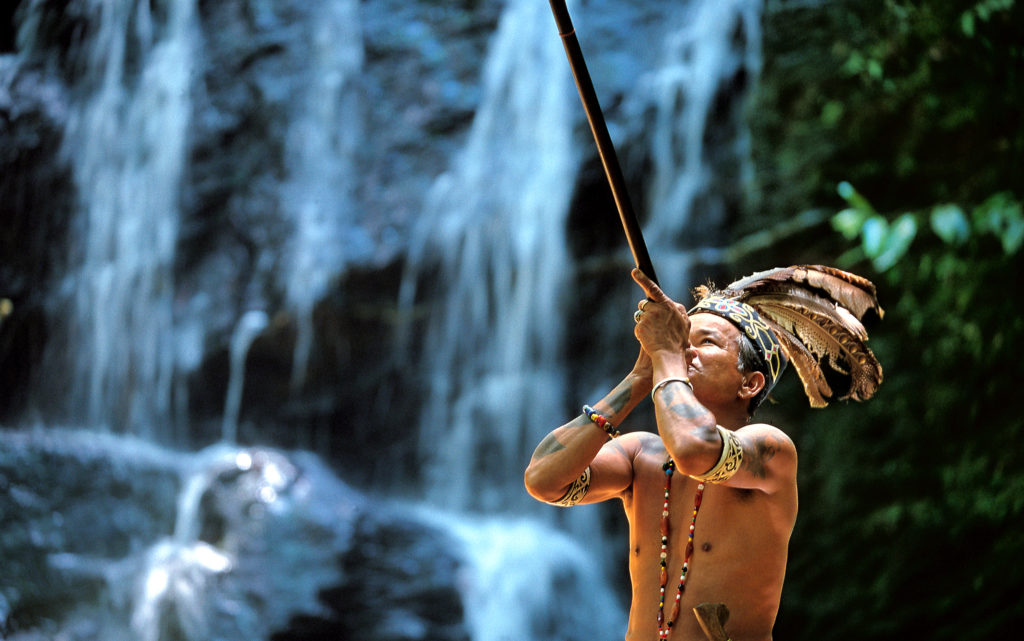 Native from the 'Orang Ulu' tribe using blowpipe
