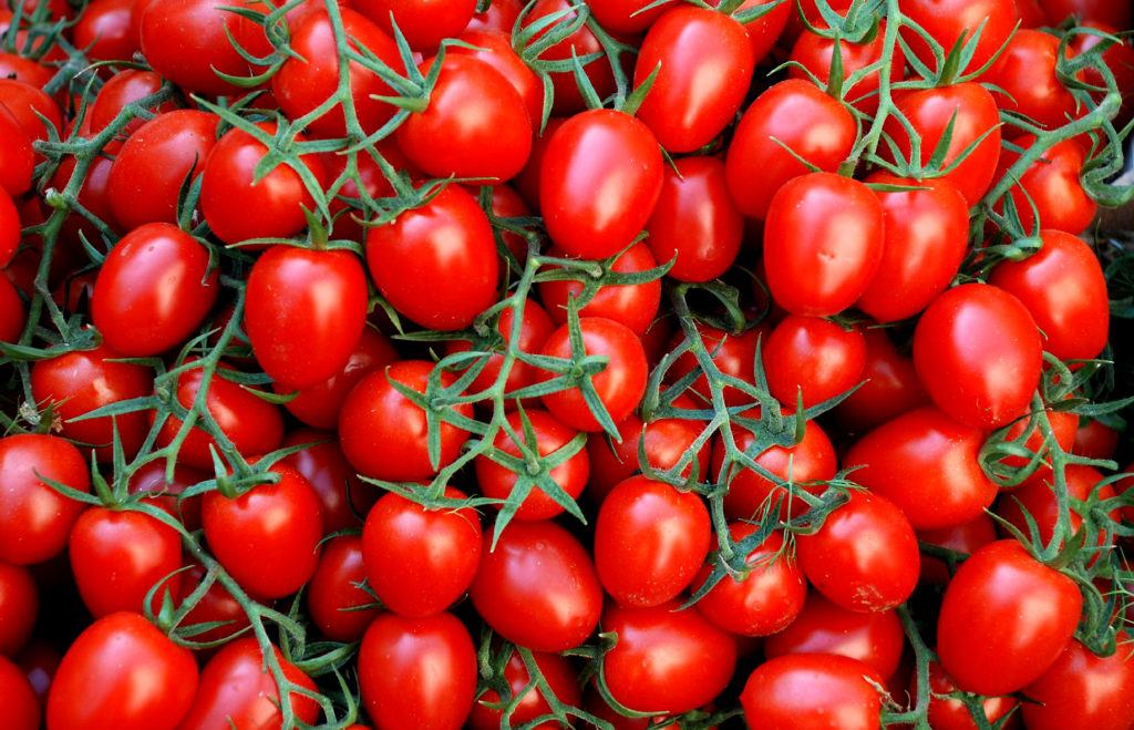San Marzano tomatoes in naples italy