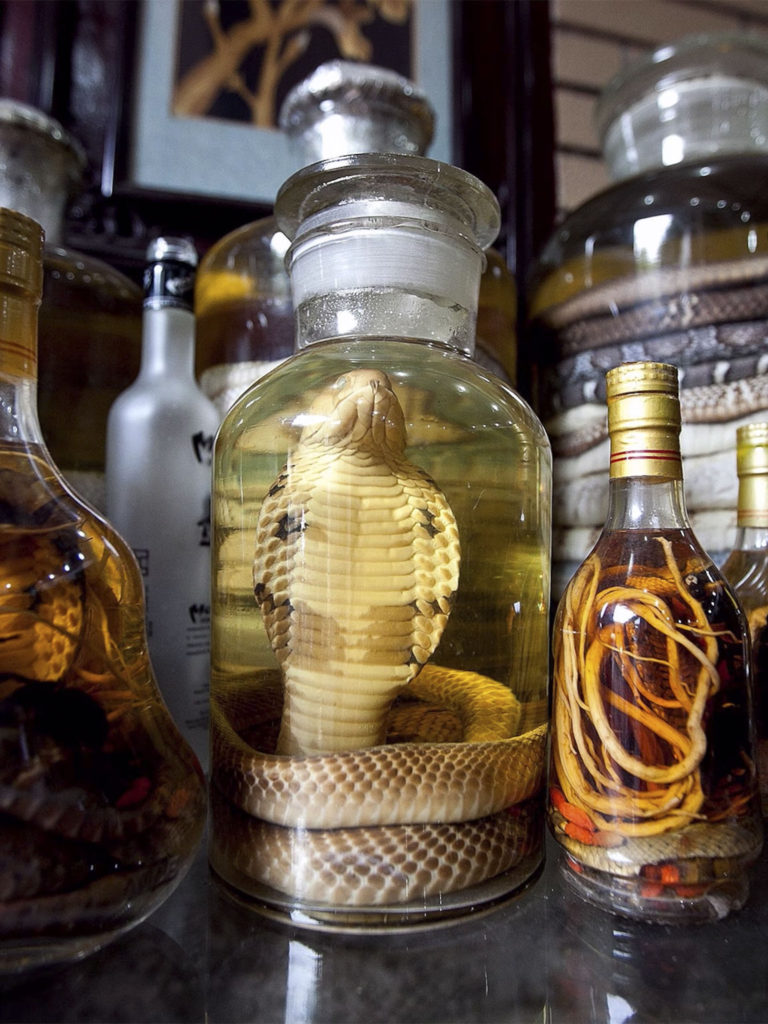 Snake wine in Cai Be
