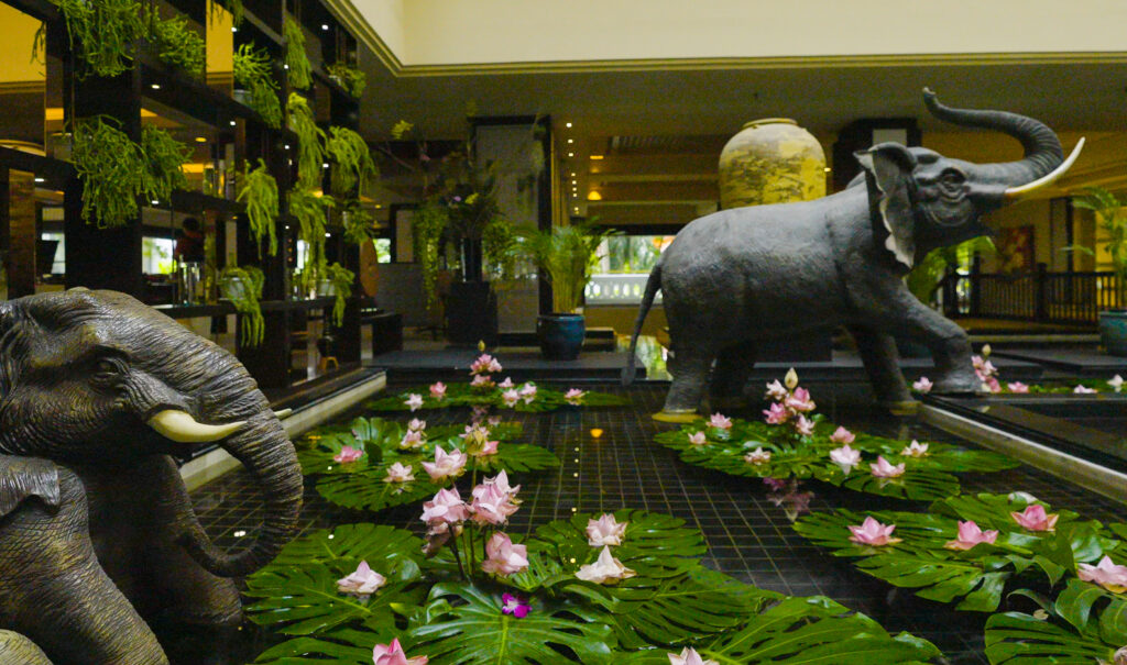 Thai Lilly ponds in the atrium of Anantara Riverside Resort